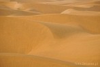 1BBG-0100; 4288 x 2848 pix; Azja, Indie, pustynia, pustynia Thar, Thar, wydma, piasek