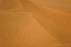 1BBG-0115; 4288 x 2848 pix; Azja, Indie, pustynia, pustynia Thar, Thar, wydma, piasek