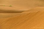 1BBG-0125; 4288 x 2848 pix; Azja, Indie, pustynia, pustynia Thar, Thar, wydma, piasek