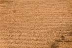 1BG1-0360; 4288 x 2848 pix; Asia, Vietnam, Mui Ne, desert, dune, sand